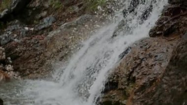 Taze Şelale Şelalesi Şelalesi Yazı akıyor