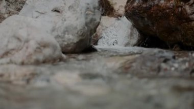 Taze Şelale Şelalesi Şelalesi Yazı akıyor