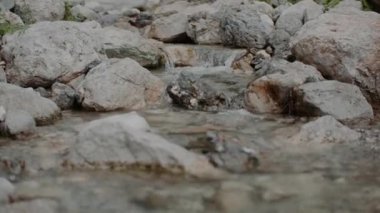 Taze Şelale Şelalesi Şelalesi Yazı akıyor