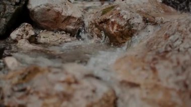 Taze Şelale Şelalesi Şelalesi Yazı akıyor