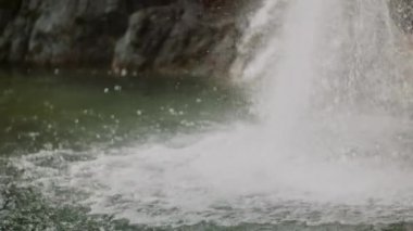 Taze Şelale Şelalesi Şelalesi Yazı akıyor