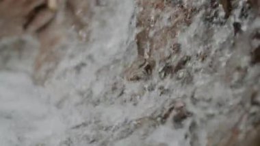 Taze Şelale Şelalesi Şelalesi Yazı akıyor