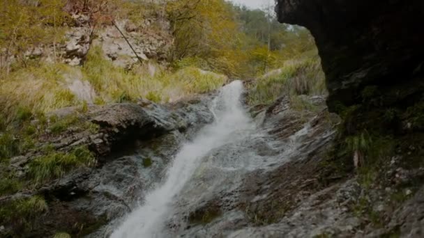Čerstvý Vodopád Kaskádový Potok Létě — Stock video