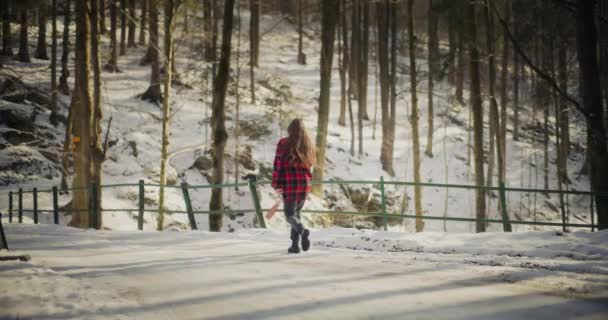 겨울날 관광객 산들을 거닐면서 주위의 경치를 합니다 찬란하게 빛나는 눈덮인 — 비디오