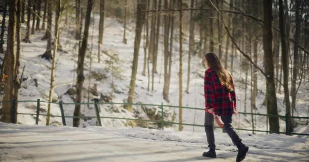 Bonito Dia Inverno Uma Turista Feminina Caminha Pelas Majestosas Montanhas — Vídeo de Stock