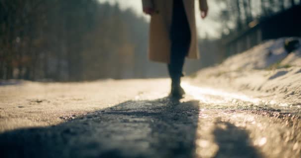 Hari Musim Dingin Yang Indah Seorang Turis Wanita Berjalan Melalui — Stok Video