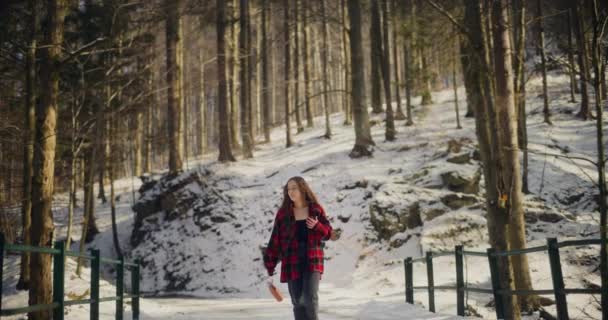 Hermoso Día Invierno Una Turista Mujer Camina Través Las Majestuosas — Vídeo de stock