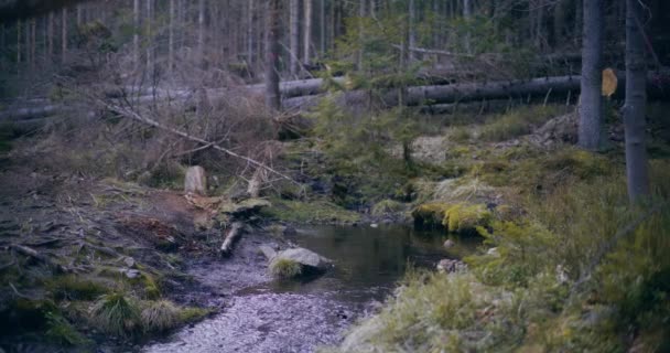 Невеликий Потік Кристалічної Чистої Води Яко Протікає Через Скелясту Місцевість — стокове відео