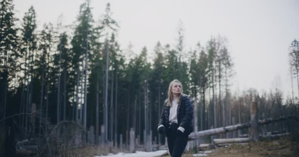 Donna Ama Nordic Walking Montagna Nei Boschi Fare Escursioni Dedicarsi — Video Stock