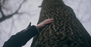 Huzurlu gölün kıyısında, doğanın güzellikleriyle çevrili dalgın bir kadın. Derin düşüncelere dalmış..