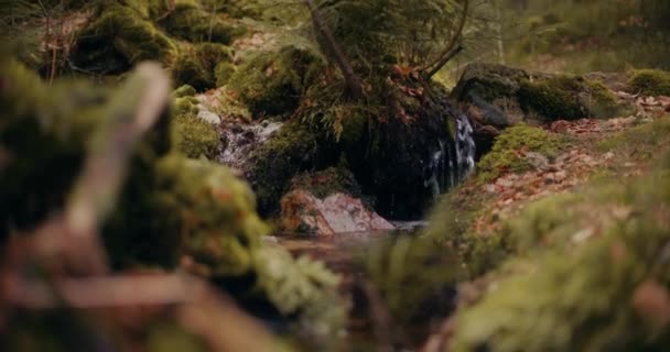 坐落在山心的淡水瀑布提供了层叠的急流和雾腾腾的风景如画的景象 — 图库视频影像