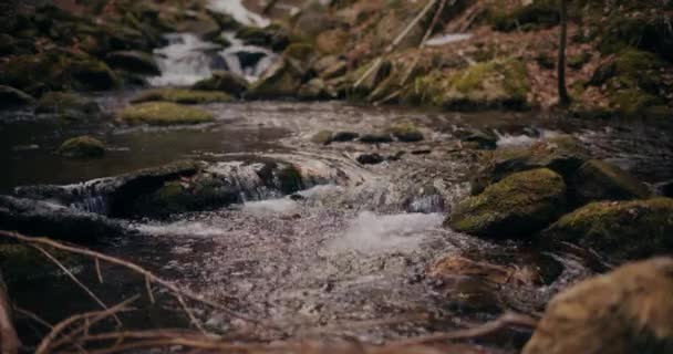 Sötvattenfall Inbäddat Hjärtat Bergen Ger Pittoresk Scen Kaskad Forsar Och — Stockvideo