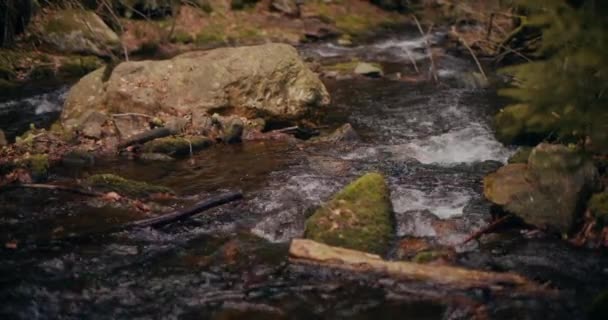 Sladkovodní Vodopád Uhnízděný Srdci Hor Poskytuje Malebnou Scenérii Kaskádových Peřejí — Stock video
