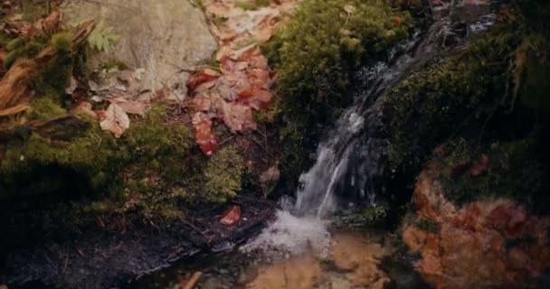 Cascada Agua Dulce Enclavada Corazón Las Montañas Proporciona Una Pintoresca — Vídeos de Stock