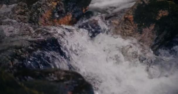 Cascata Acqua Dolce Immersa Nel Cuore Delle Montagne Offre Una — Video Stock