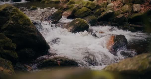 Cascade Eau Douce Nichée Cœur Des Montagnes Offre Une Scène — Video