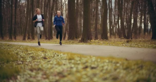 Les Femmes Qui Font Jogging Exercice Dans Parc Sont Une — Video