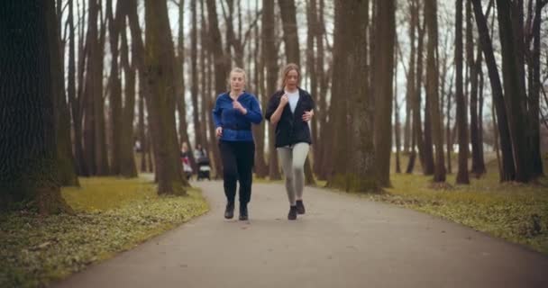 Mulheres Jogging Exercício Parque Uma Maravilhosa Exibição Saúde Fitness — Vídeo de Stock