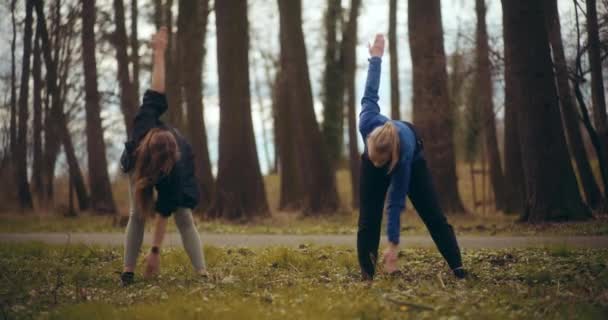 Las Mujeres Corriendo Haciendo Ejercicio Parque Una Maravillosa Muestra Salud — Vídeo de stock