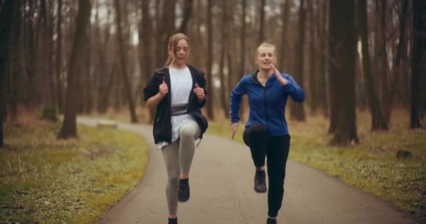 공원에서 운동을 여자들은 건강을 훌륭하게 전시한다 — 비디오