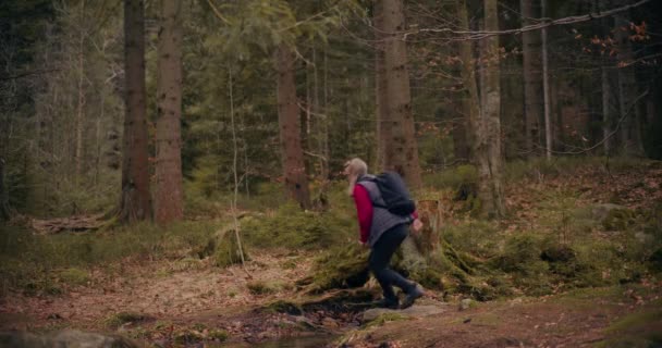 女人喜欢北欧人在山林中散步 户外活动以保持健康 探索自然美景 — 图库视频影像