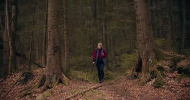 Žena Těší Severské Procházky Horách Lesích Jít Túry Zapojit Outdoorových — Stock video