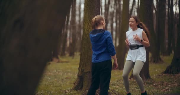 Γυναίκες Τζόκινγκ Και Την Άσκηση Ένα Πάρκο Είναι Μια Θαυμάσια — Αρχείο Βίντεο