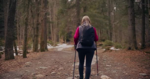 Femeia Bucură Mersul Jos Nordic Munți Păduri Merge Drumeții Angajează — Videoclip de stoc