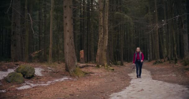 Vrouw Geniet Van Nordic Walking Bergen Bossen Wandelen Buitenactiviteiten Ondernemen — Stockvideo