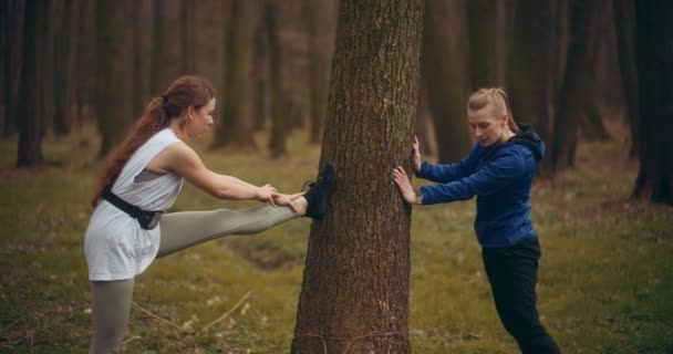 Ženy Jogging Cvičení Parku Nádherná Ukázka Zdraví Fitness — Stock video