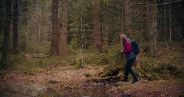 Γυναίκα Απολαμβάνει Σκανδιναβικό Περπάτημα Στα Βουνά Και Δάση Πρόκειται Για — Αρχείο Βίντεο