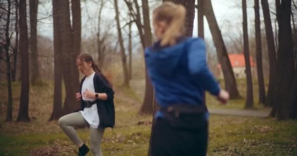 Las Mujeres Corriendo Haciendo Ejercicio Parque Una Maravillosa Muestra Salud — Vídeos de Stock