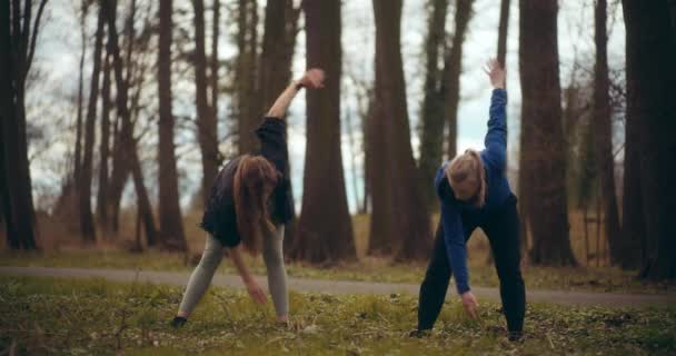 Nők Kocogás Testmozgás Parkban Egy Csodálatos Bemutatása Egészség Fitness — Stock videók