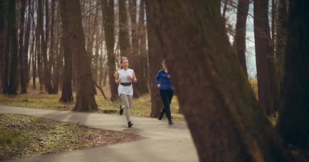Parkta Koşan Egzersiz Yapan Kadınlar Sağlık Sağlık Açısından Harika Bir — Stok video