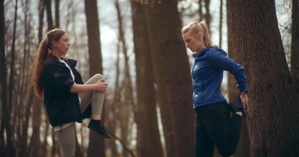 Femeile Care Aleargă Fac Exerciții Fizice Într Parc Sunt Expoziție — Videoclip de stoc