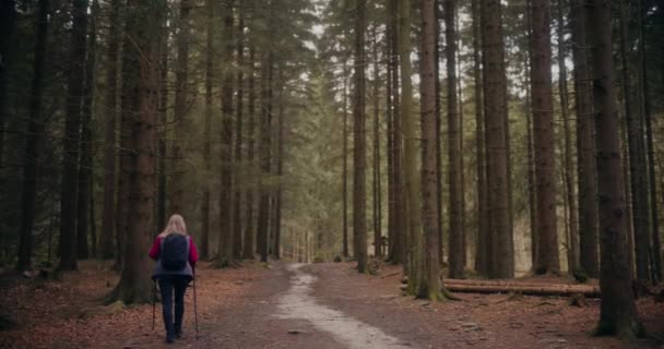 Жіночі Туристичні Гори Жінка Полюбляє Скандинавську Ходьбу Горах Лісах Гуляє — стокове відео