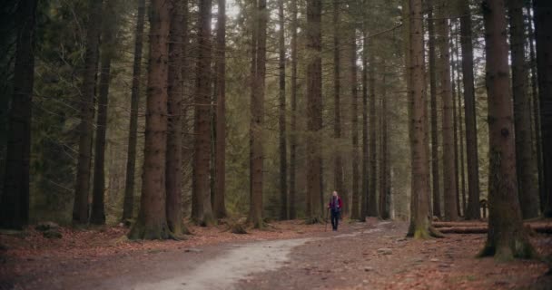 Θηλυκά Τουριστικά Βουνά Γυναίκα Απολαμβάνει Σκανδιναβικό Περπάτημα Στα Βουνά Και — Αρχείο Βίντεο