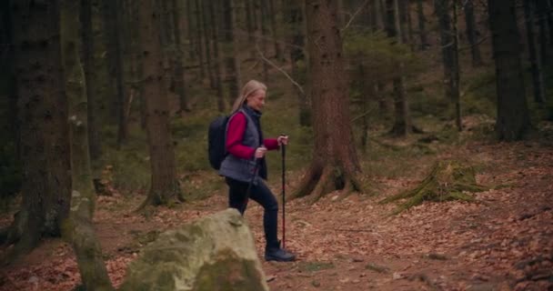 Feminino Montanhas Turísticas Mulher Gosta Caminhar Nórdico Nas Montanhas Florestas — Vídeo de Stock