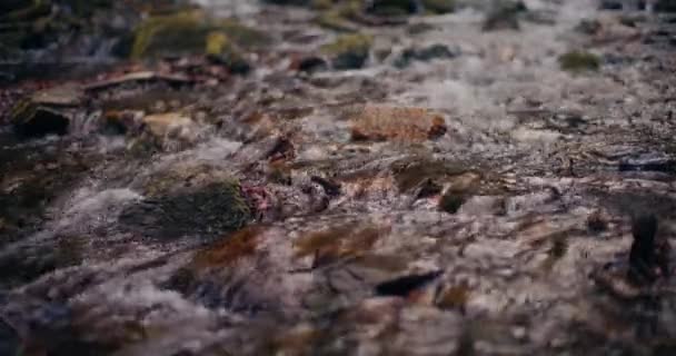 Зимовий Водоспад Тече Вниз Горі Прісною Водою Мальовничим Видом Засніжені — стокове відео