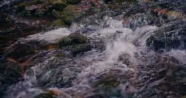 Kış şelalesi bir dağdan aşağı akar, tatlı su ve karla kaplı dağların manzarası ve buzlu ağaçlar, huzurlu ve sakin bir atmosfer yaratır..