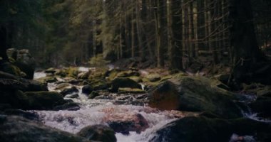 Kış şelalesi bir dağdan aşağı akar, tatlı su ve karla kaplı dağların manzarası ve buzlu ağaçlar, huzurlu ve sakin bir atmosfer yaratır..