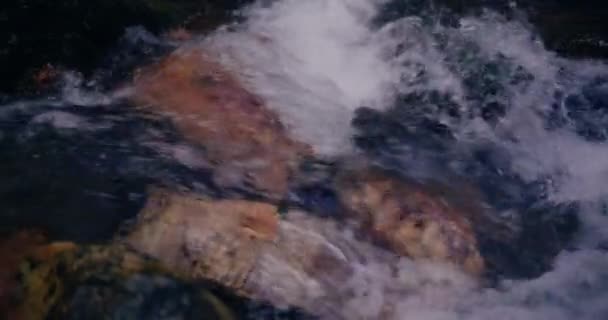 Cascada Invierno Fluye Por Una Montaña Con Agua Dulce Una — Vídeo de stock