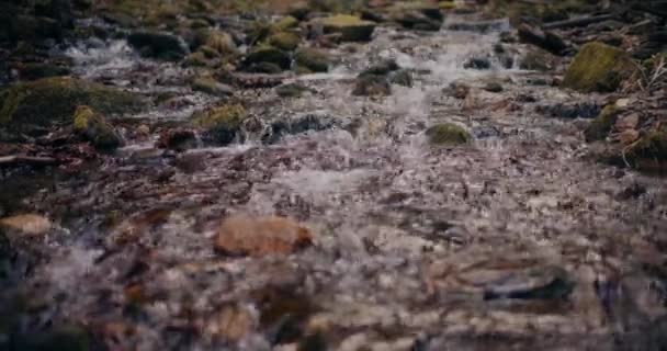 Cascata Invernale Scende Una Montagna Con Acqua Dolce Una Pittoresca — Video Stock