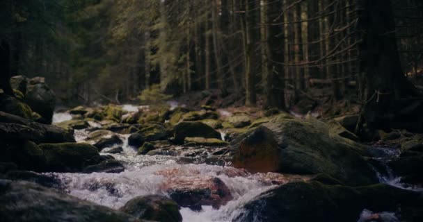 Cascada Invierno Fluye Por Una Montaña Con Agua Dulce Una — Vídeos de Stock