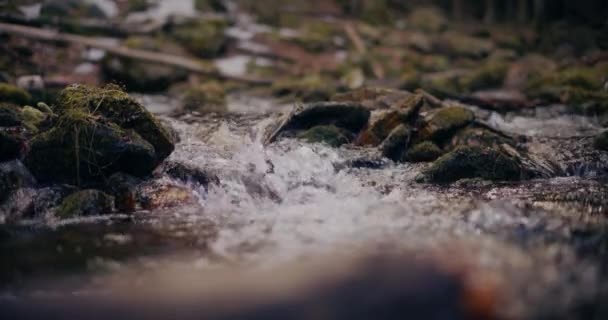 Cascade Hiver Descend Une Montagne Avec Eau Douce Une Vue — Video