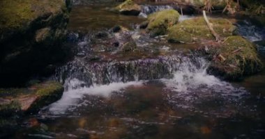 Kış şelalesi bir dağdan aşağı akar, tatlı su ve karla kaplı dağların manzarası ve buzlu ağaçlar, huzurlu ve sakin bir atmosfer yaratır..