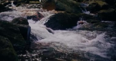 Kış şelalesi bir dağdan aşağı akar, tatlı su ve karla kaplı dağların manzarası ve buzlu ağaçlar, huzurlu ve sakin bir atmosfer yaratır..