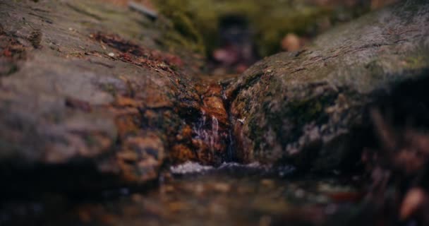 Cascada Invierno Fluye Por Una Montaña Con Agua Dulce Una — Vídeos de Stock