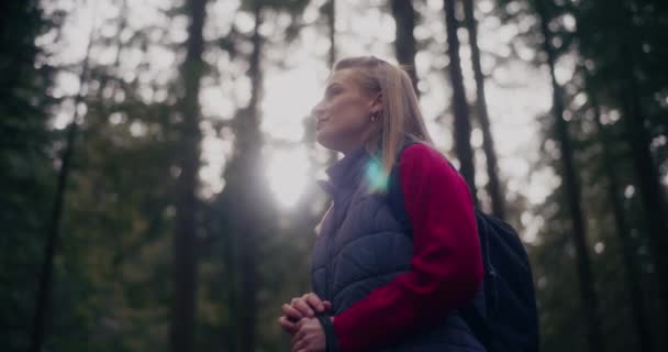 Donna Ama Nordic Walking Montagna Nei Boschi Fare Escursioni Dedicarsi — Video Stock