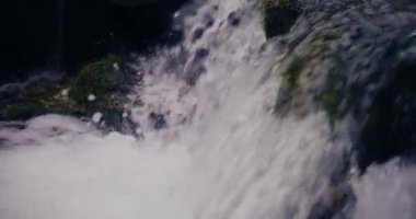 Kış şelalesi bir dağdan aşağı akar, tatlı su ve karla kaplı dağların manzarası ve buzlu ağaçlar, huzurlu ve sakin bir atmosfer yaratır..